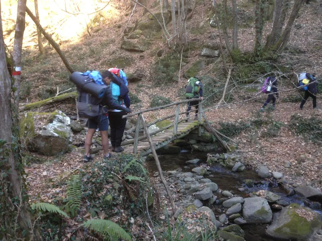 ragazzi in cammino nel bosco